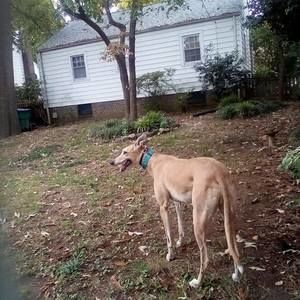 Meet your Posher, Suzanne